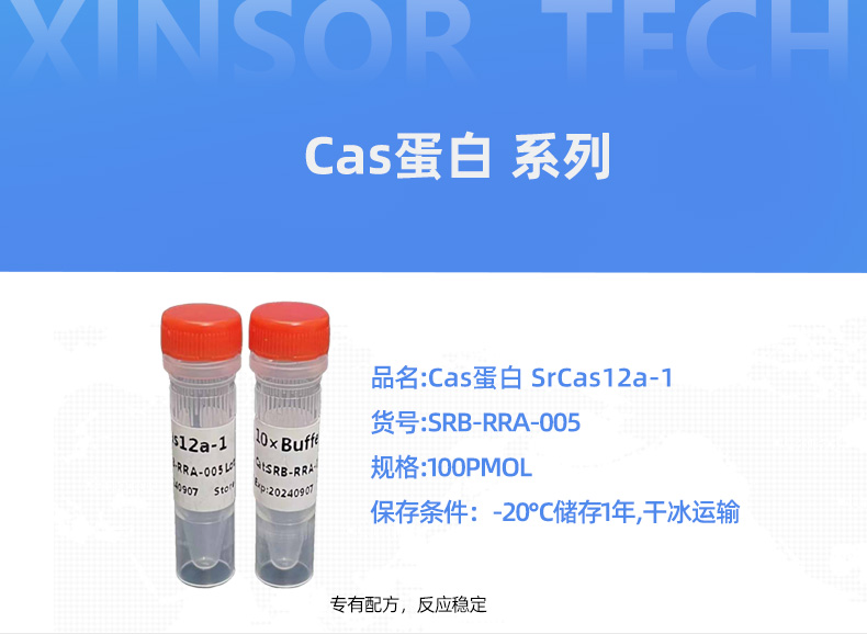 SrCas蛋白详情页_01.jpg
